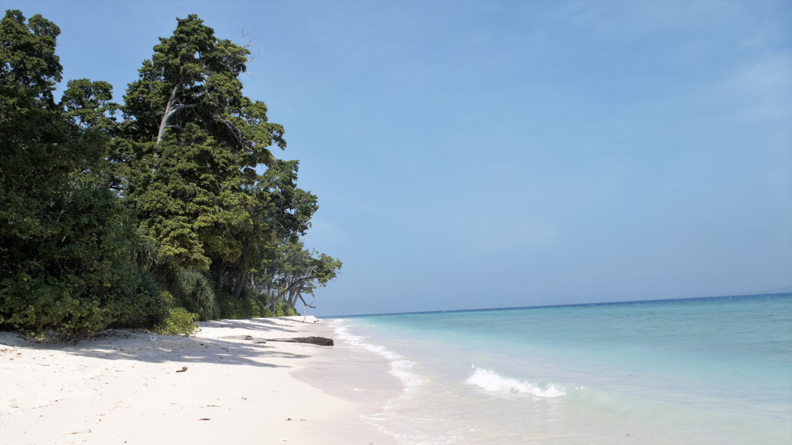 Exotic Andaman I